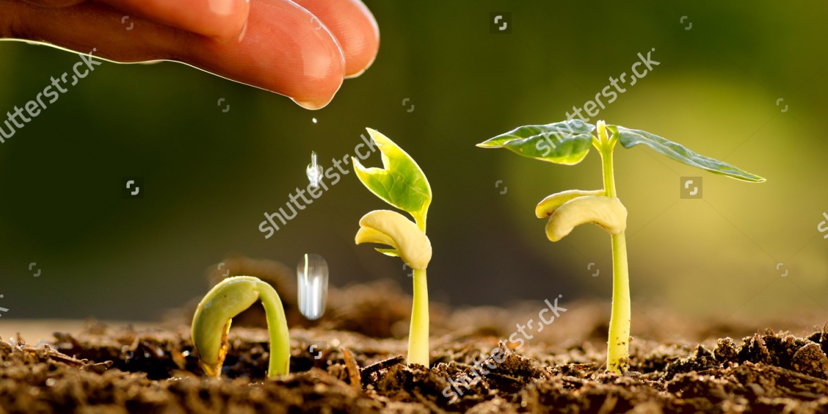 stock-photo-agriculture-seeding-seedling-male-hand-watering-young-tree-over-green-background-seed-244220368