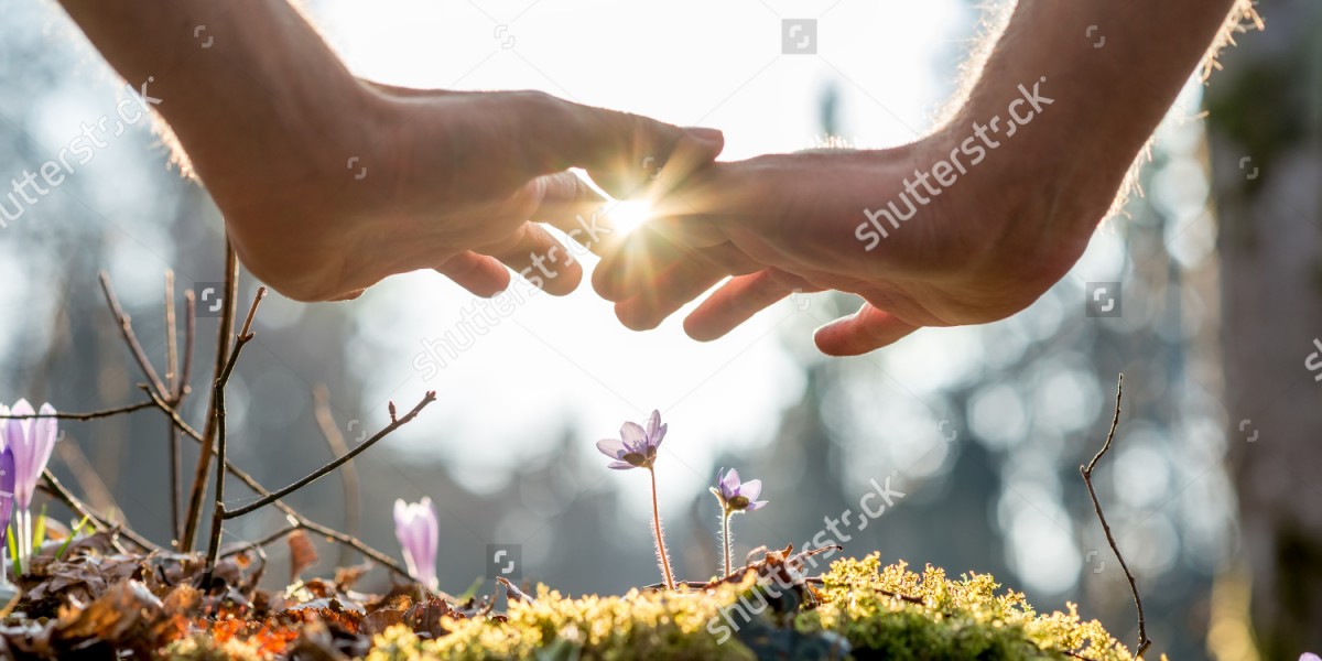 stock-photo-close-up-bare-hand-of-a-man-covering-small-flowers-at-the-garden-with-sunlight-between-fingers-270038441
