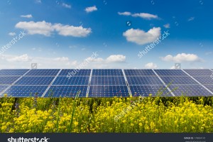 stock-photo-photovoltaic-modules-and-yellow-flowers-178694141